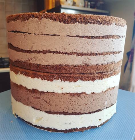 Prikaz visoke torte na eno nadstropje s prereznimi plastmi in podpornimi stebrički
