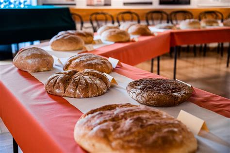 Fotografija nagrajenih pekov kruha s priznanji.