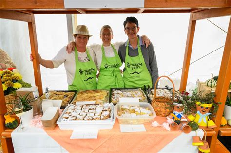 fotografija različnih vrst jabolčnih in drugih štrudljev
