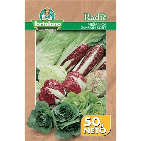 Ilustracija različnih vrst radiča