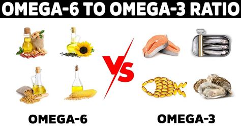 Grafični prikaz razmerja med omega-3 in omega-6 maščobnimi kislinami.