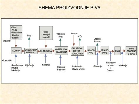 Shema proizvodnje mesnih izdelkov z označenimi aditivi.