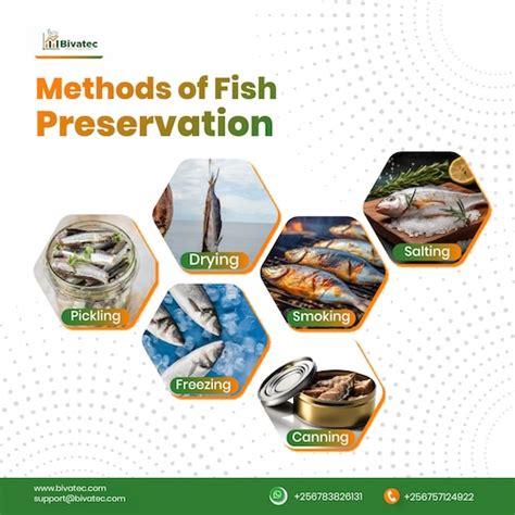 Infographic on traditional fish preservation methods (drying, salting, marinating).
