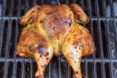 Thematic photo of grilled chicken with Asian marinade or grilled whole chicken on a BBQ