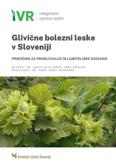 Ilustracija glivične bolezni na listih leske