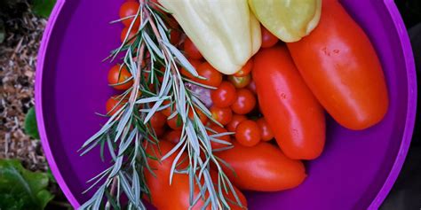 fotografija svežih mediteranskih sestavin: paradižnik, paprika, olive in ovčji sir