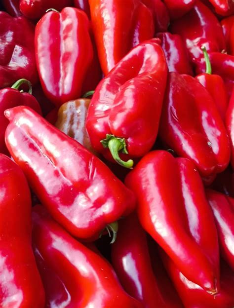 sestavine za ajvar (paprika, čebula, česen)