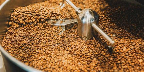 Različne stopnje mletja kave od zelo fine do grobe