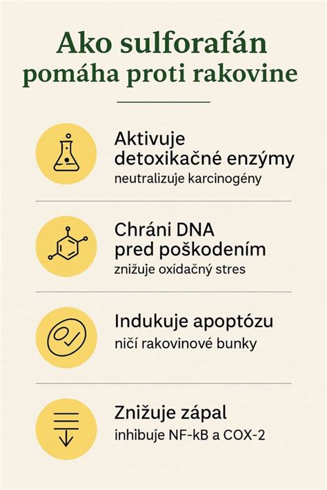 infografika o glukozinolatih in sulforafanu v križnicah