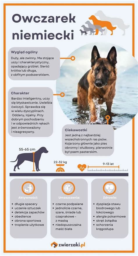 Infografika o pomenu namakanja fižola in hitrih rešitvah