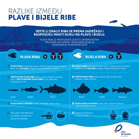 infografika postopka filetiranja ribe