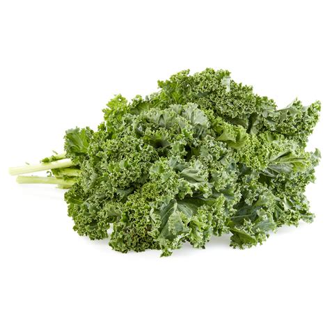 Thematic photo of fresh kale