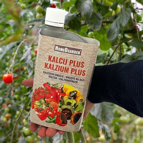 Fotografija: Zdrave rastline, gnojene s kalijevim silikatom