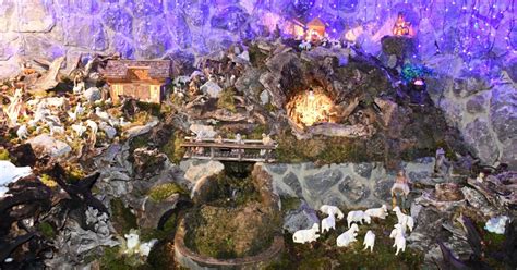 Podoba prave kamilice v naravnem okolju.