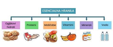 Infografika mobilnosti hranil: katera hranila povzročajo simptome na mladih in katera na starih listih