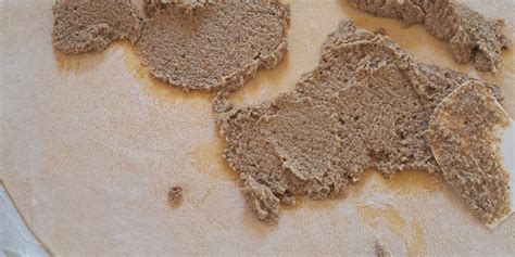 Fotografija vzhajajočega testa za potico