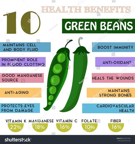 Infographic showing health benefits and nutritional value of green beans