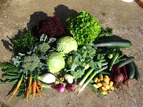 različne vrste sveže zelenjave, narezane za pripravo