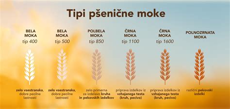 infografika primerjave med različnimi tipi mok in dodatki v pekarstvu