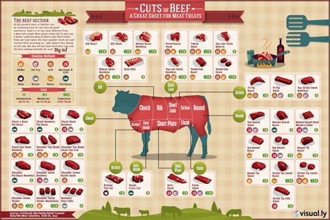 Infographic of a beef cut, highlighting bočnik (shank/plate)