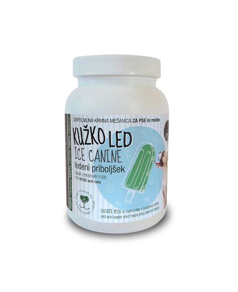 pes, ki veselo žveči veganski priboljšek