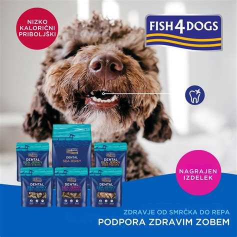 pes, ki aktivno čisti zobe z veganskim žvečilnim priboljškom