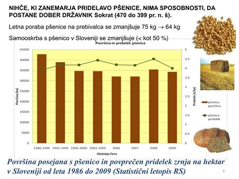grafikon: poraba krompirja na prebivalca v Sloveniji