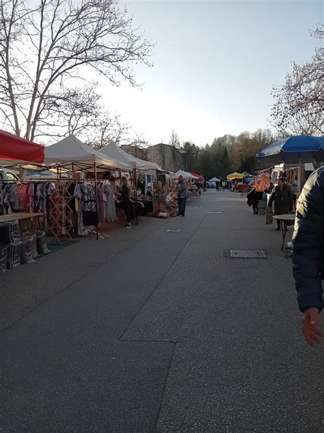Fotografija svežih šampinjonov na kmečki tržnici