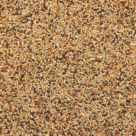 različne vrste semen za hranjenje ptic