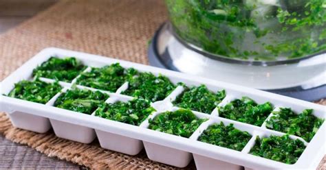 Slika različnih svežih zelišč, pripravljenih za dodajanje v namaz.