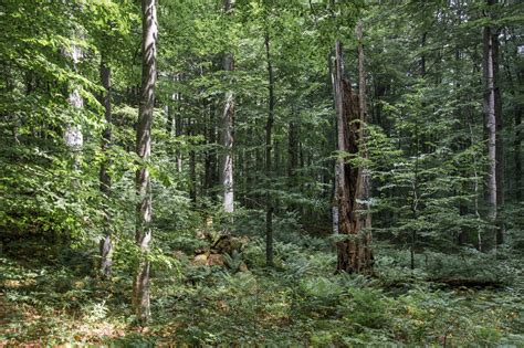 shematski prikaz kratkih dobavnih verig od kmetije do končnega potrošnika