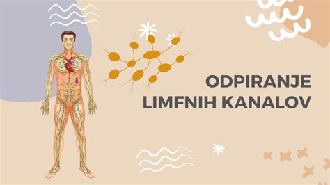 Ilustracije različnih lokacij tetovaž češnjevega cveta na telesu