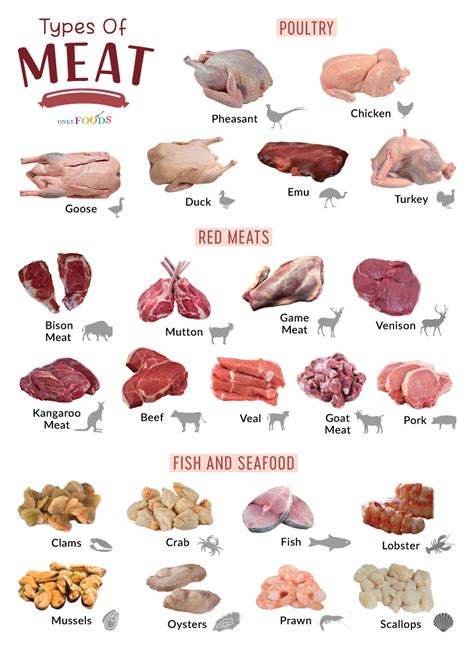 Thematic photo of various types of lean meat like chicken, turkey, beef