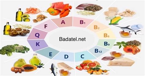 Diagram, ki prikazuje vsebnost vitaminov in mineralov v sladkem krompirju v primerjavi z drugimi živili.
