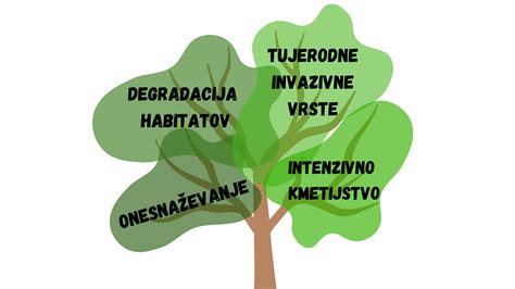 Diagram primerjave bitnih hitrosti (kb/s) in njihovega vpliva na zaznavno kakovost zvoka.
