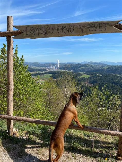 prikaz razvlečenega testa, skozi katerega se vidi vzorec prta