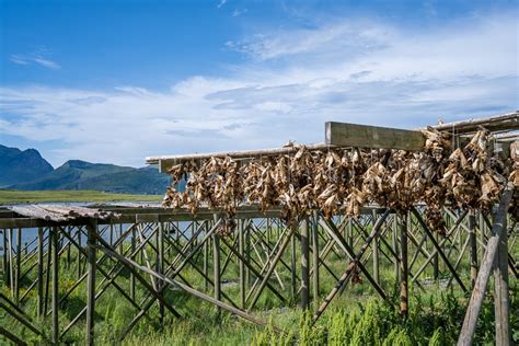 Prikaz tradicionalne priprave kraške pancete: sušenje na zraku in burji