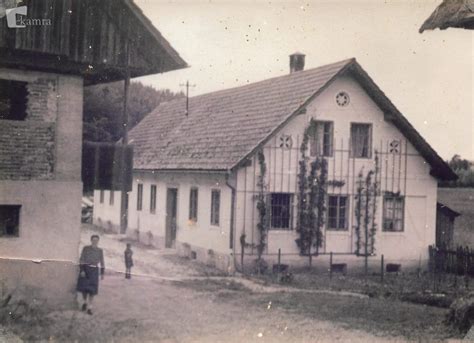 Stara fotografija kmečkega dvorišča z murvinim drevesom