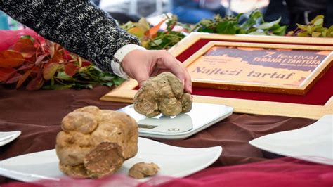 Ilustracija tartufa s poudarkom na njegovi obliki in teksturi.