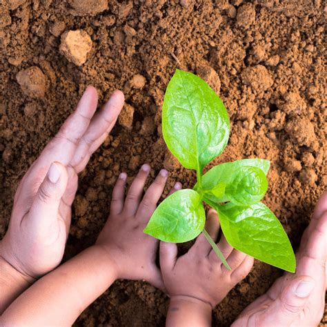 otroci z lučkami raziskujejo vsebino plastificiranih jajc na svetlobni mizi