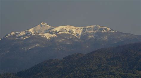 fotografija gradu Snežnik in zgodovinskih vrtnic