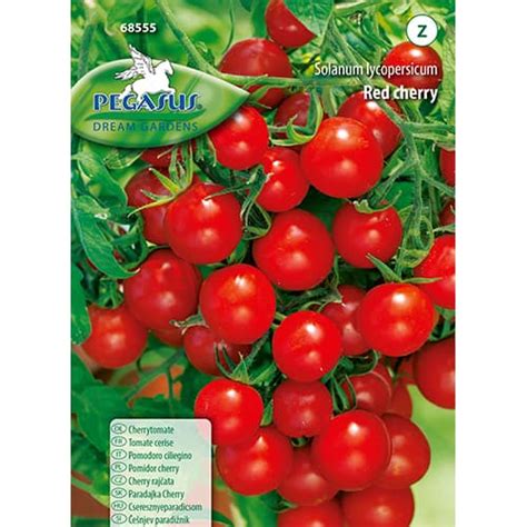 Tematska fotografija češnjevega paradižnika 'Black Cherry'