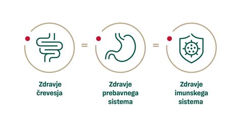 Shema prebavnega sistema in vpliva vlaknin