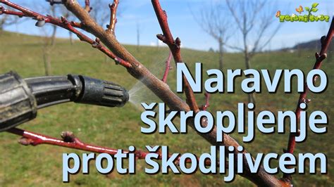 shema združljivega sajenja in boja proti škodljivcem