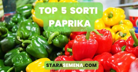 Ilustracija pravilnega shranjevanja paprike v hladilniku