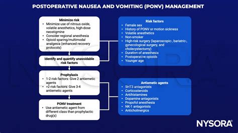 Infografika o različnih vrstah električnih ponv in njihovih lastnostih