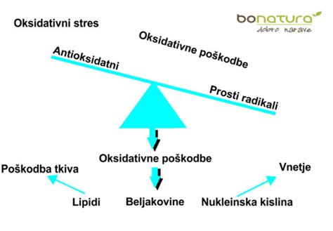 infografika: Mehanizem delovanja kurkumina na vnetje in oksidativni stres