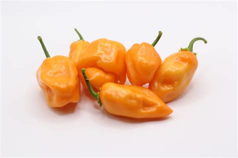 Fotografija različnih vrst čilijev, ki se uporabljajo v mehiški kuhinji.