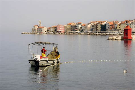 Tematsko foto: Ribiči vlečejo polne mreže rib