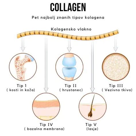 shema pridobivanja želatine iz kolagena (kosti, koža, hrustanec)